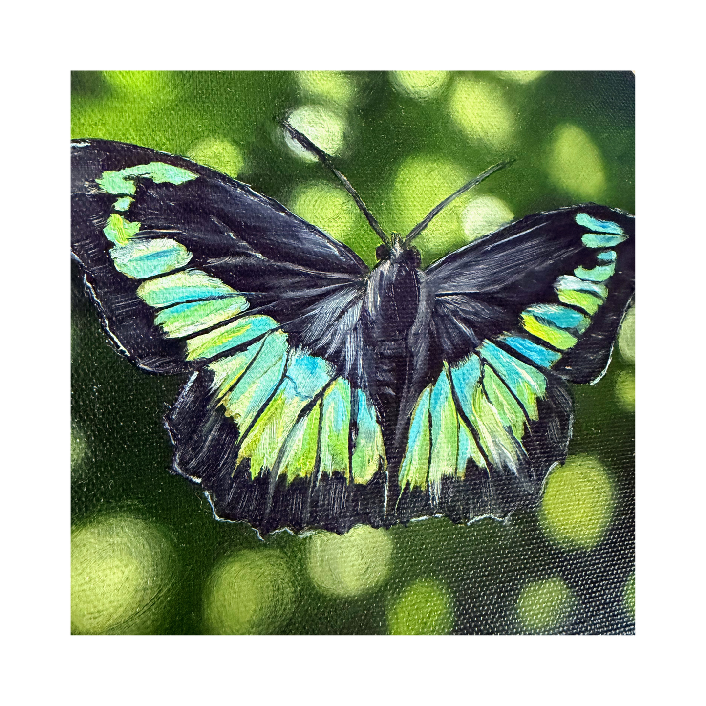 Jerry teal blue and green butterfly oil painting detail view of brushstroked on the butterfly wings