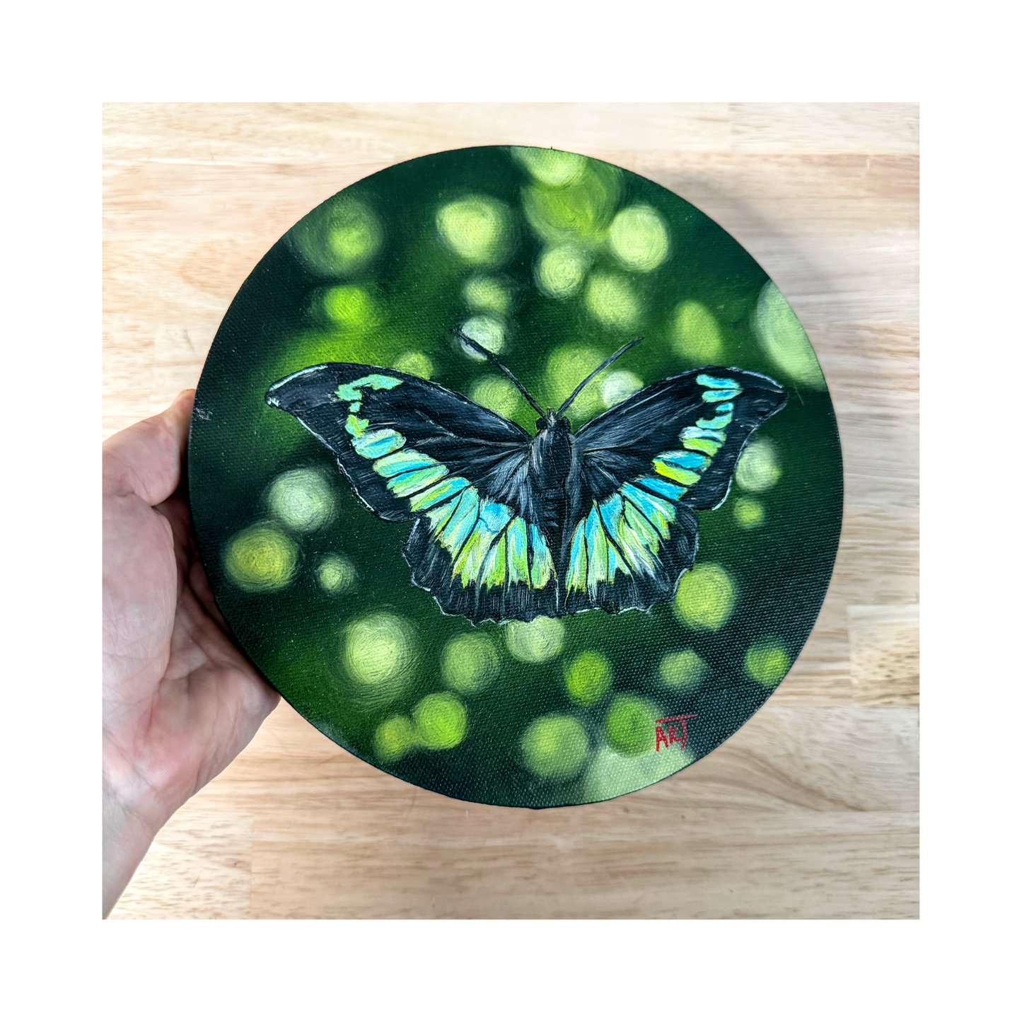 Jerry teal blue and green butterfly oil painting on a 8" round canvas - top view