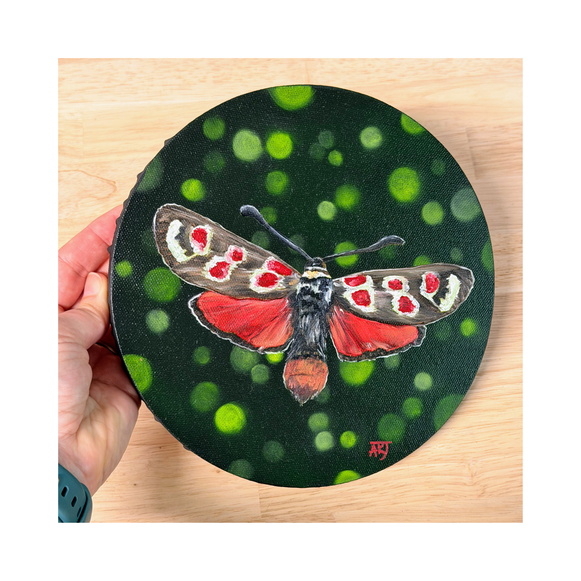 top view of the 8" original moth oil painting on round canvas