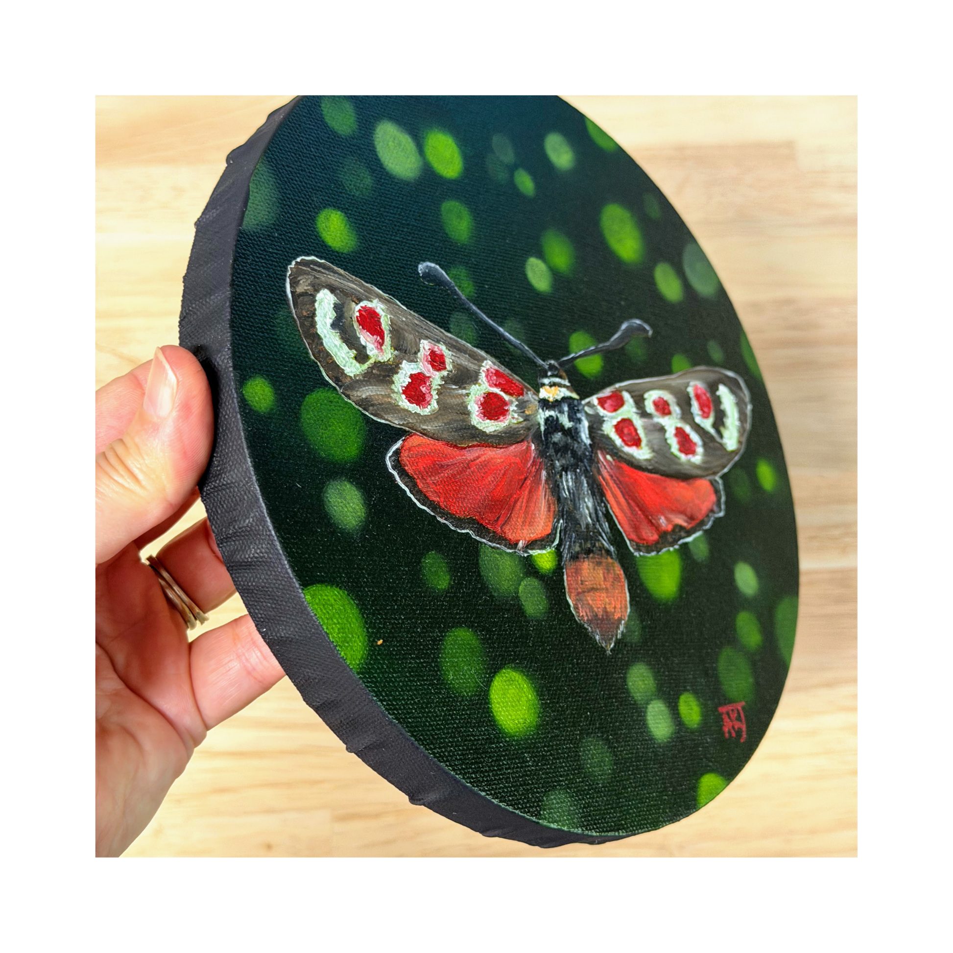 Lucy - original moth oil painting on 8" round canvas, side view showing black edge