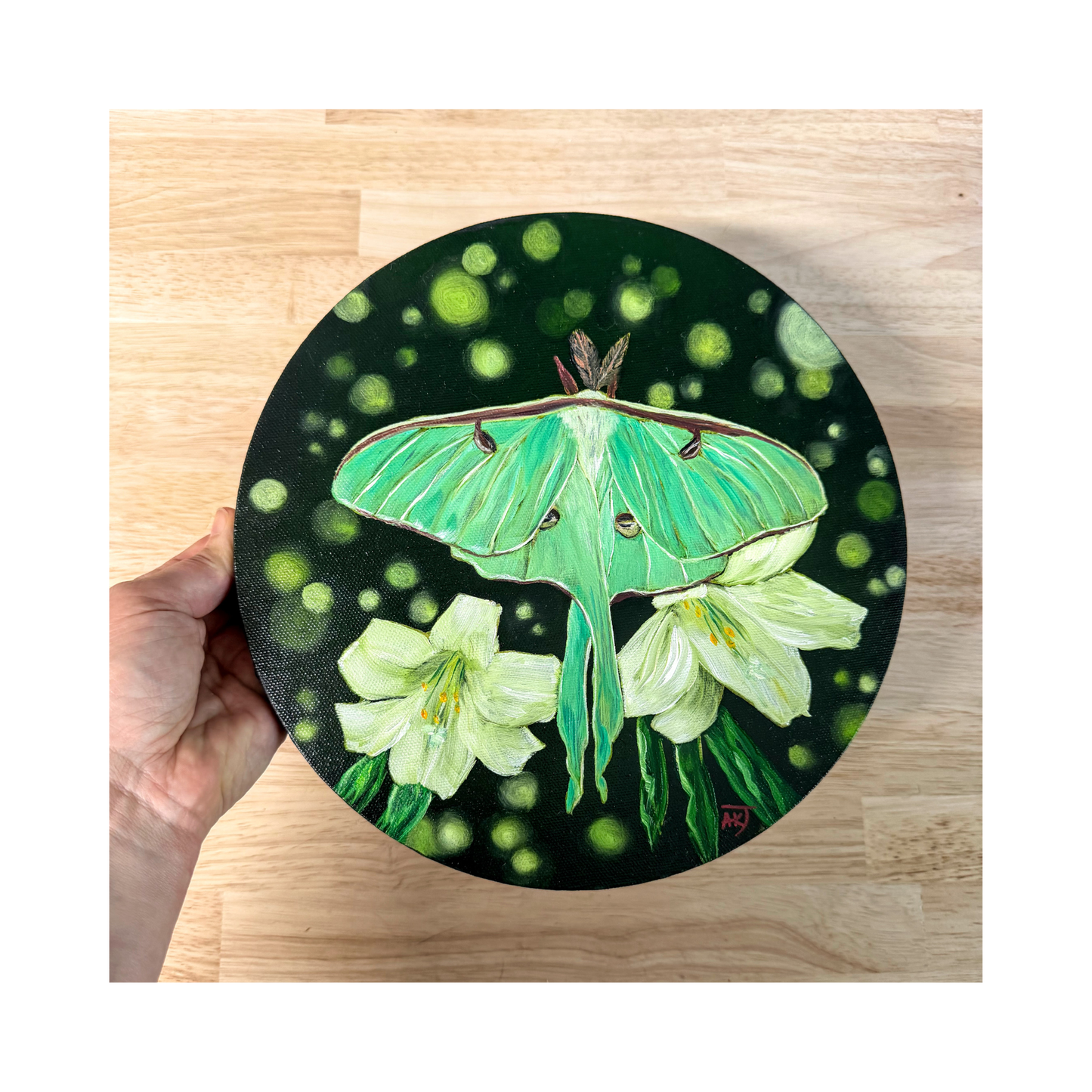 Luna moth sitting on white lilly flowers original oil painting on 10" round canvas top view