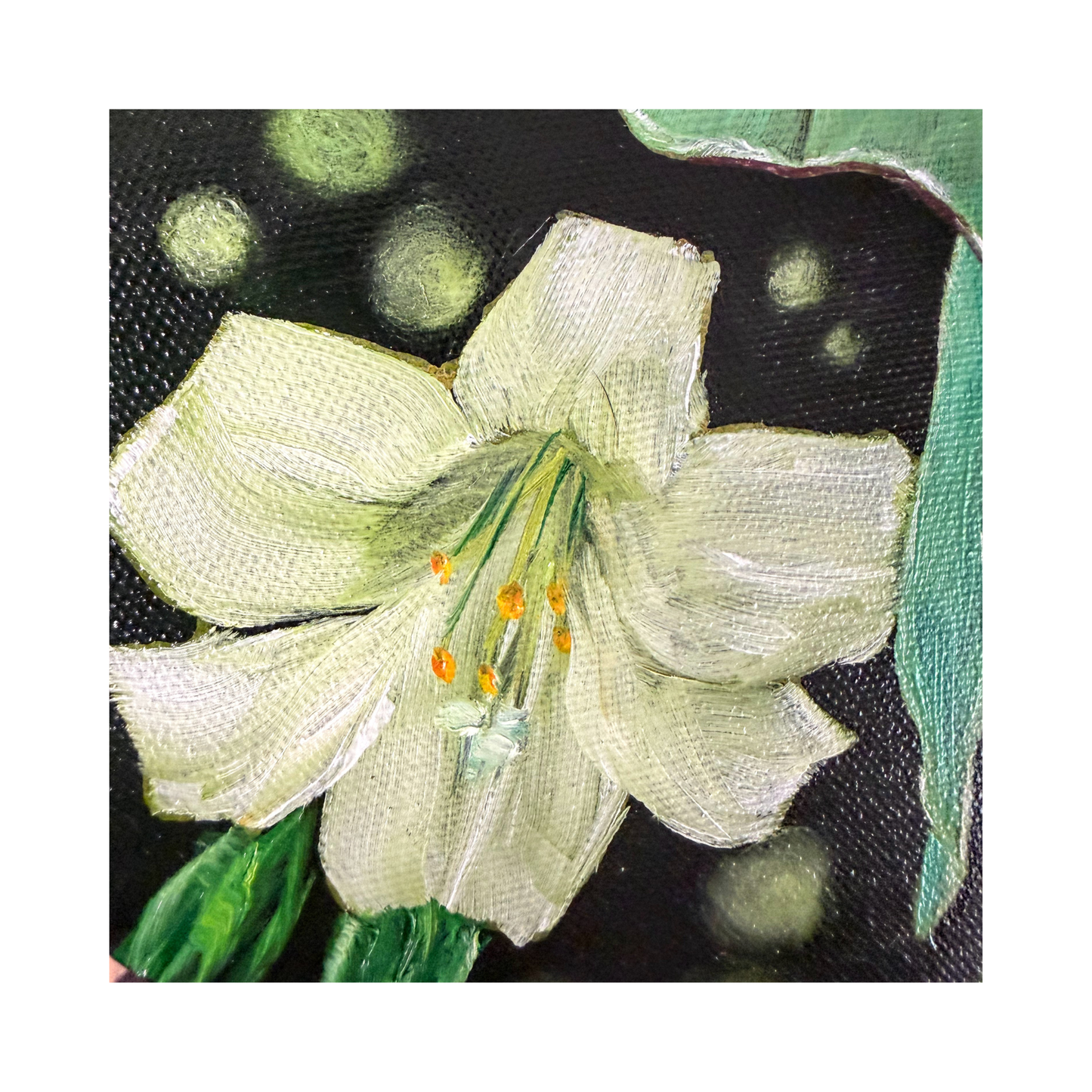 Luna moth original oil painting detail shot of a white lilly