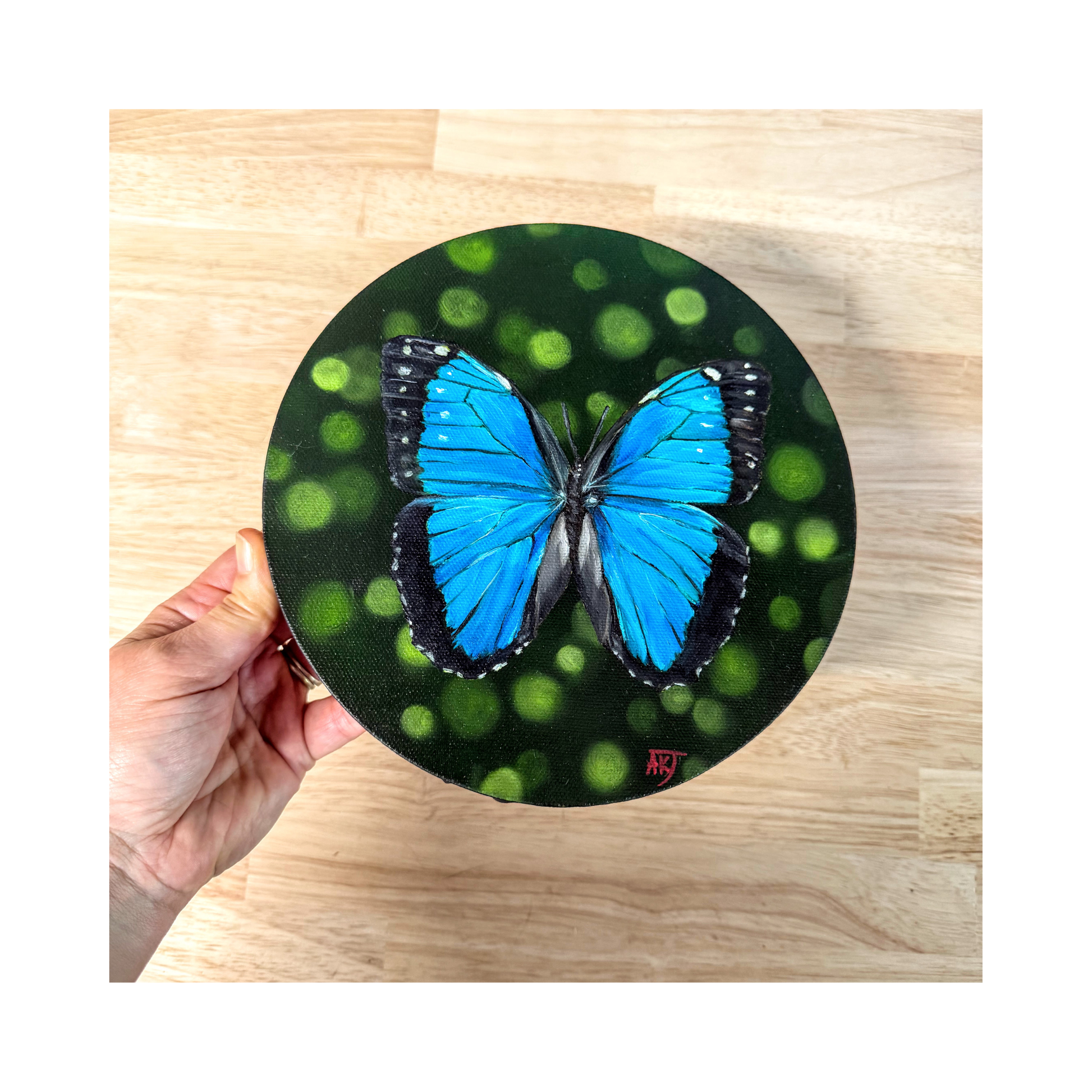 Morpho  butterfly oil painting on 8 round canvas top view