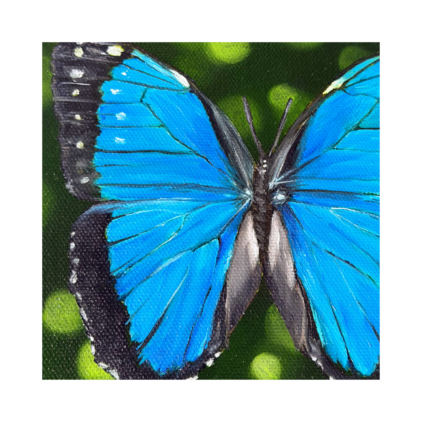 Morpho butterfly oil painting on 8" round canvas detail shot of the blue wing with brushstrokes detail