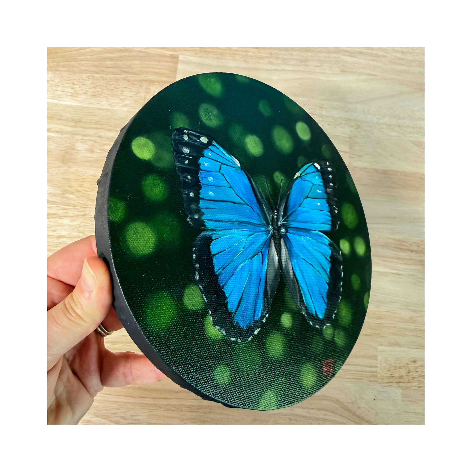 Morpho butterfly oil painting on 8" round canvase - side view showing black edge