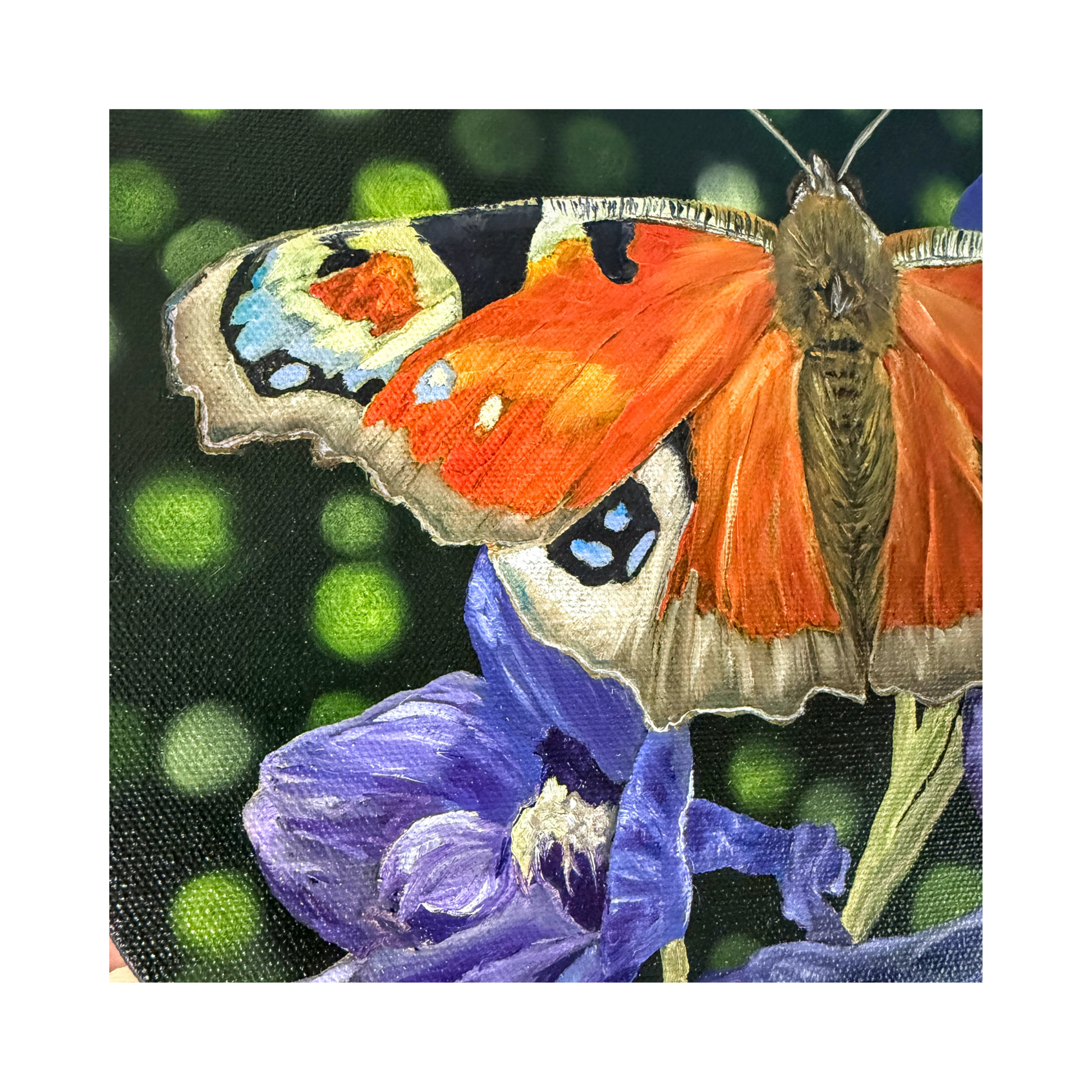 Original oil painting of a peacock butterfly on 12" round canvas - detail of the brush strokes on the butterfly and the flower