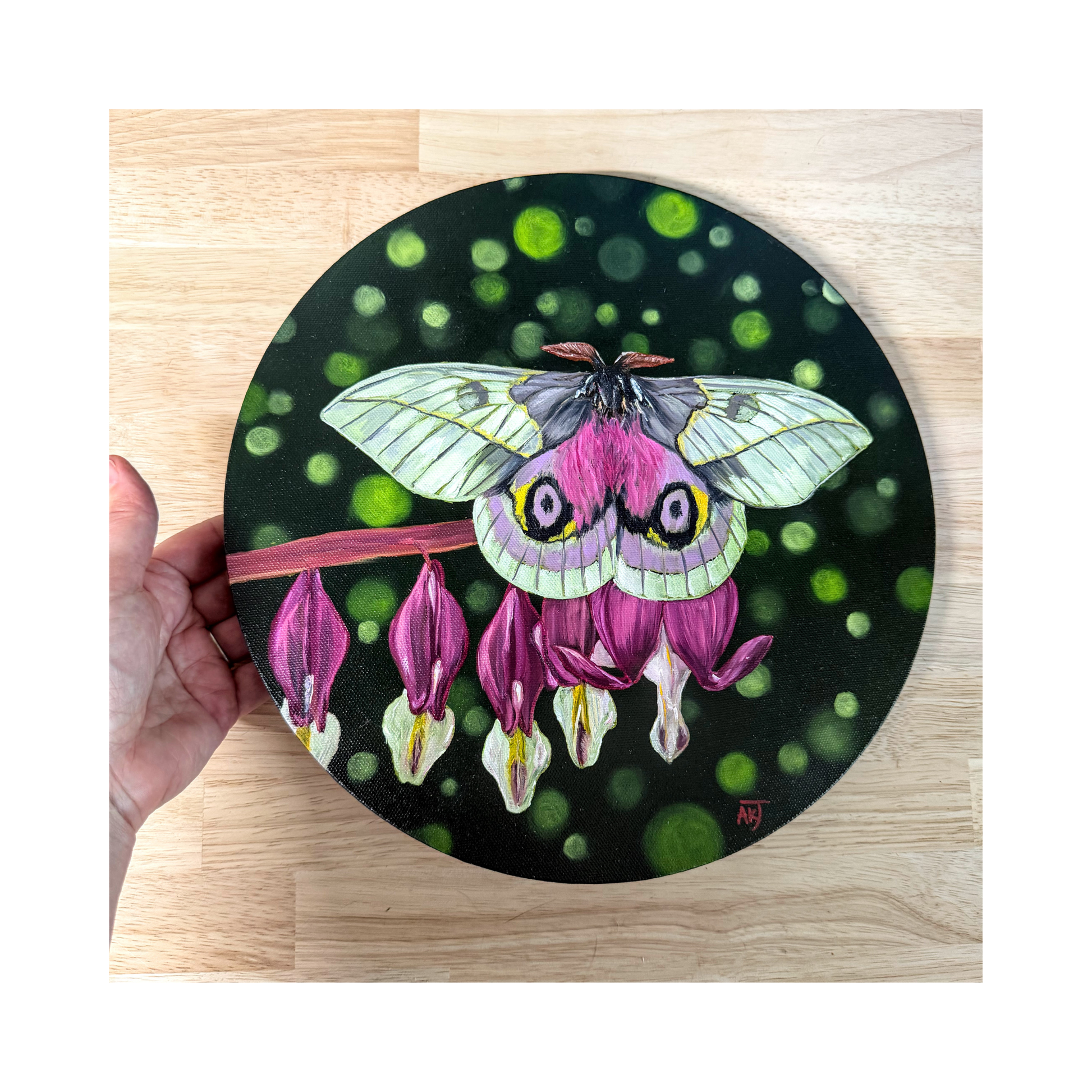 Original oil painting of a white and pink moth sitting on a bleeding hearts flowers on a 12" round canvas - top view