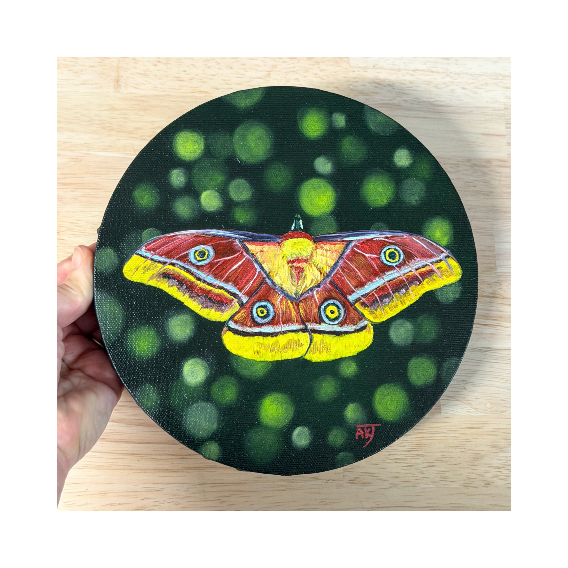 Tina yellow and red moth 8" original oil painting on round canvas top view
