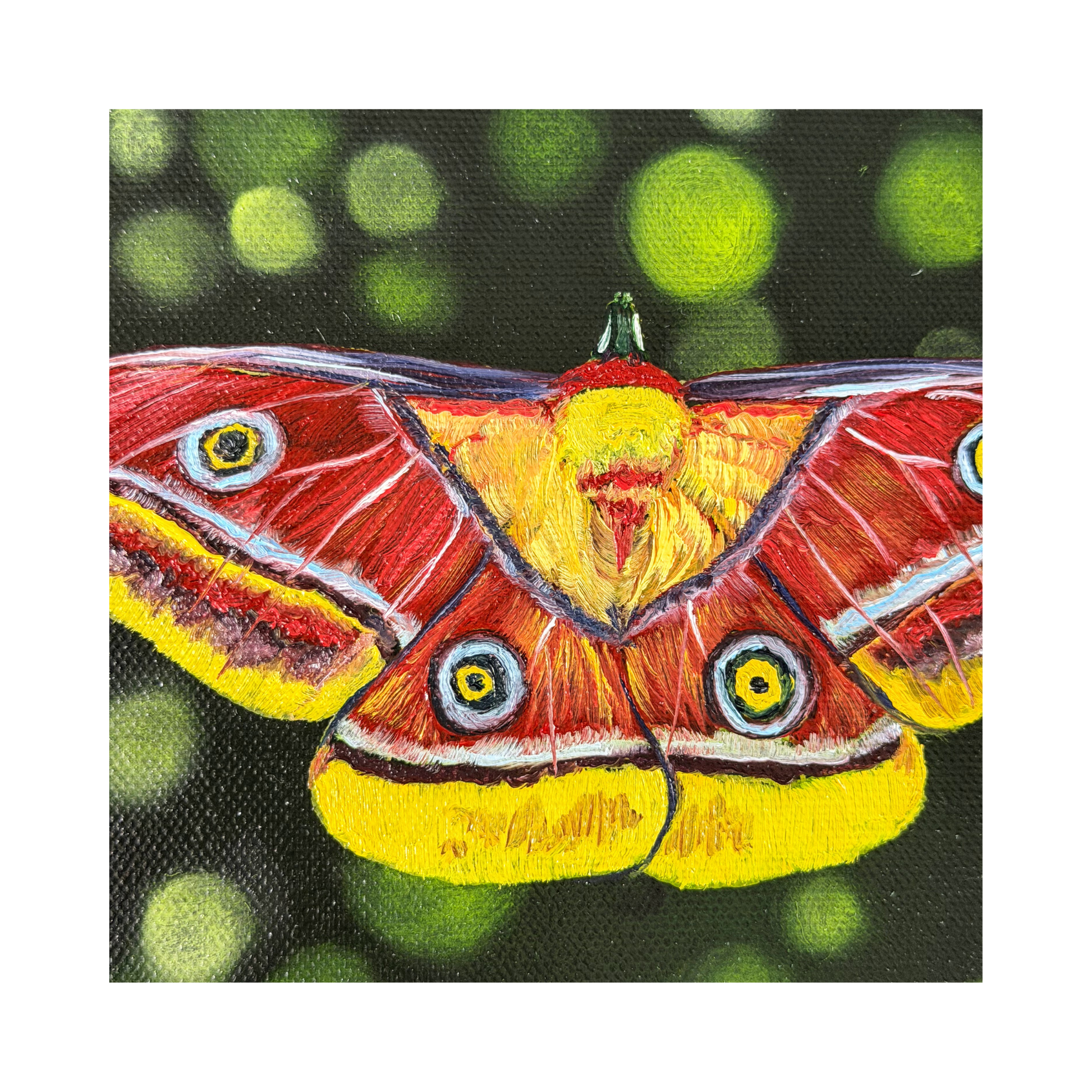 Tina yellow and red moth 8" original oil painting on round canvas detail of brushstrokes