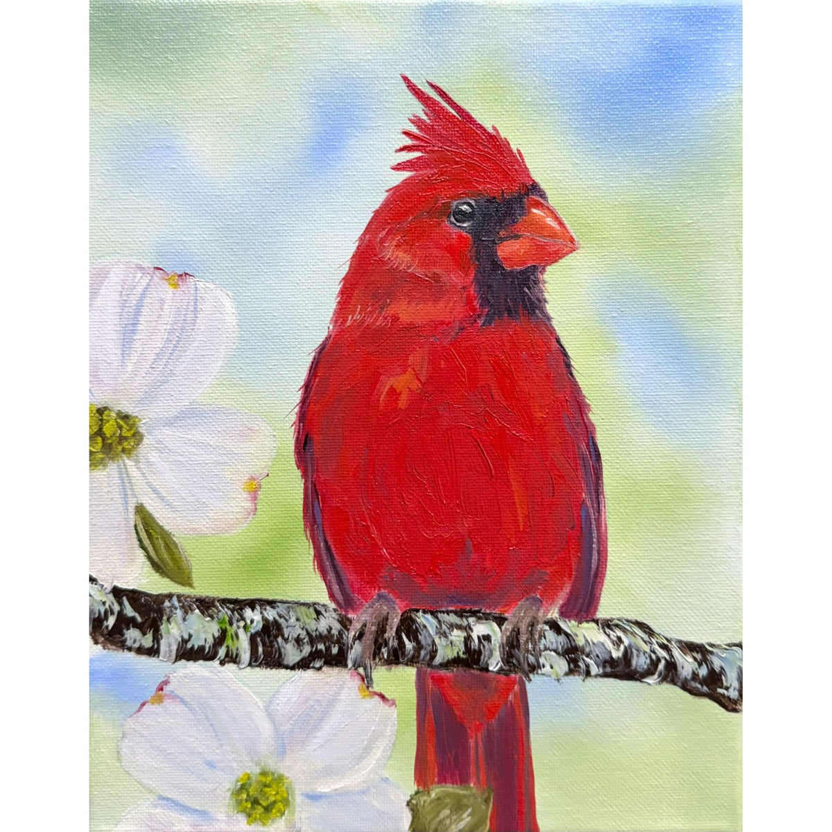 Bright red cardinal perched among white dogwood blossoms against a soft green and blue background, original 8x10 oil painting on canvas.