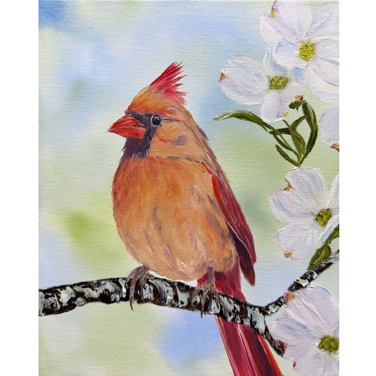 Female cardinal with golden-brown feathers and red crest perched among white dogwood blossoms, original 8x10 oil painting on canvas.