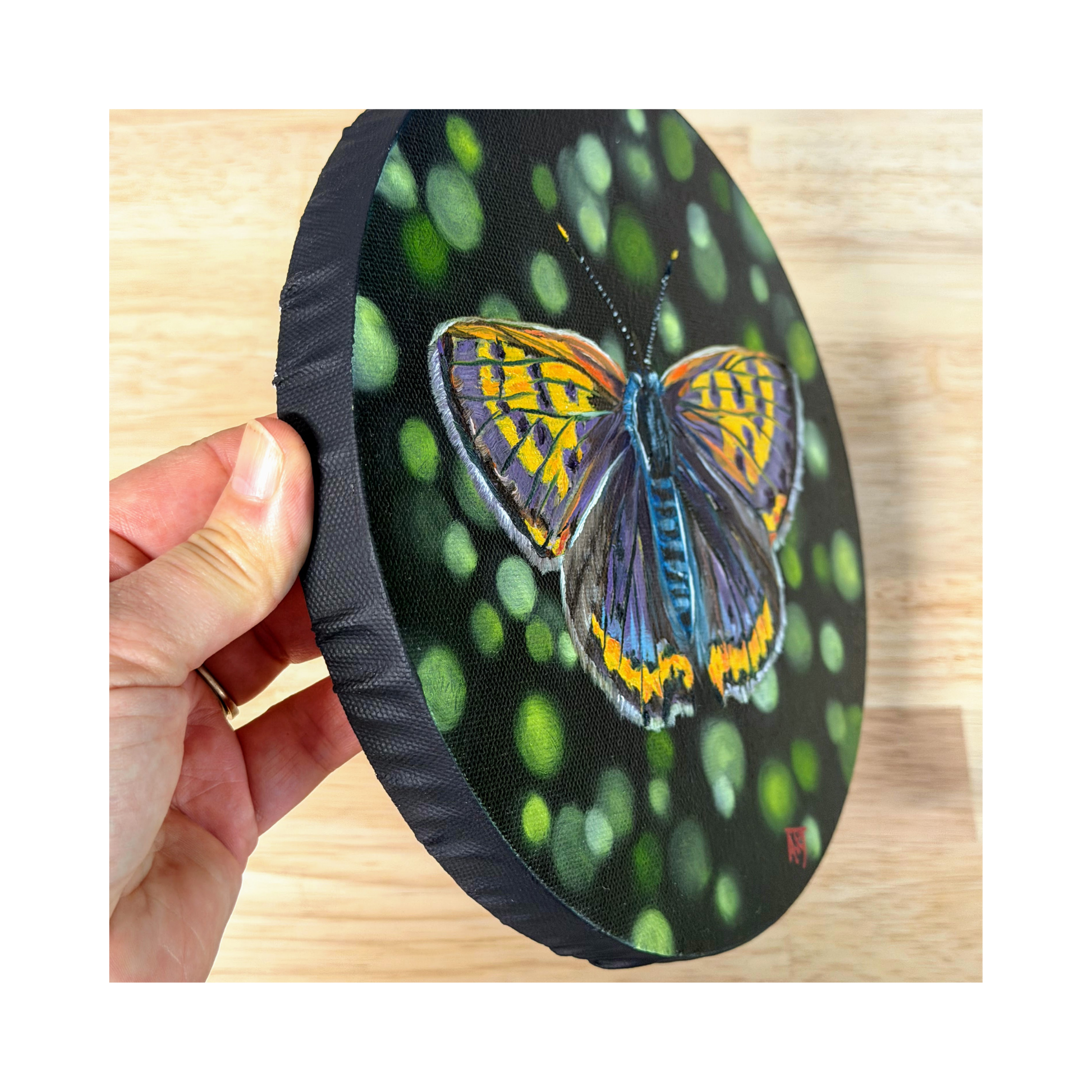 copper butterfly original oil painting on 8" round canvas - side view showing the black edge