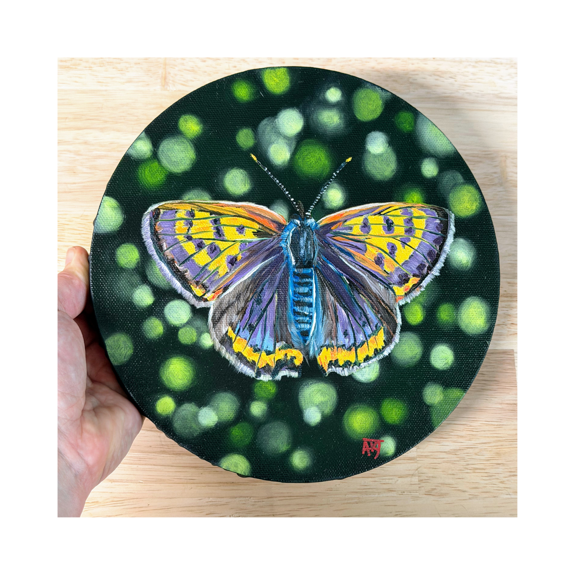 copper butterfly original oil painting on 8" round canvas - top view