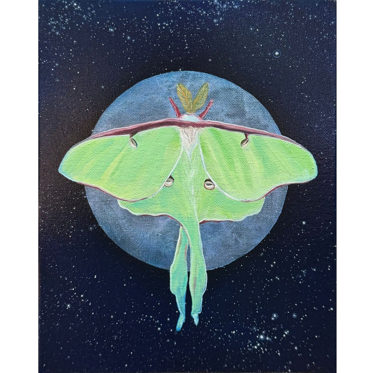Bright lime-green luna moth against a slate-blue moon and star-filled navy night sky, original 8x10 oil painting on canvas.