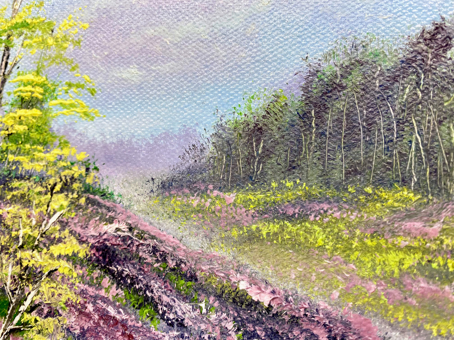 Hilly landscape with trees and a misty sky