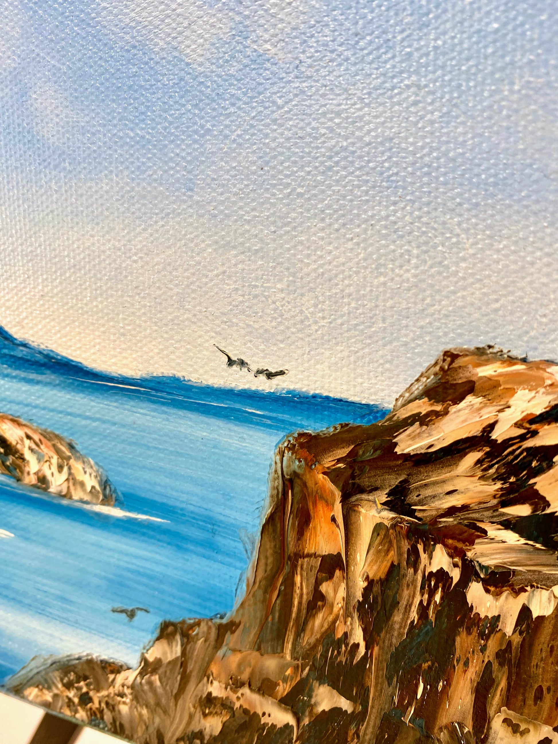 Artistic depiction of a coastal scene with cliffs, ocean, and birds.